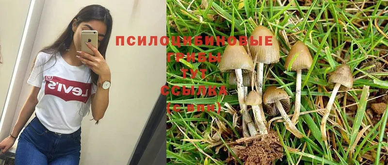 Галлюциногенные грибы Magic Shrooms  Кандалакша 